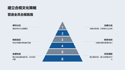 企业合规运营解析