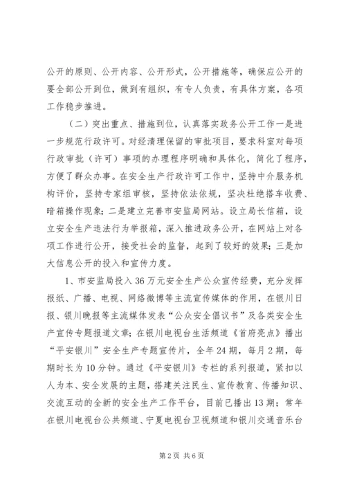 安监局年度党务政务公开工作自查报告.docx