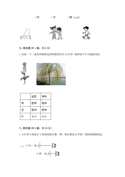 教科版一年级上册科学期末测试卷含答案解析.docx