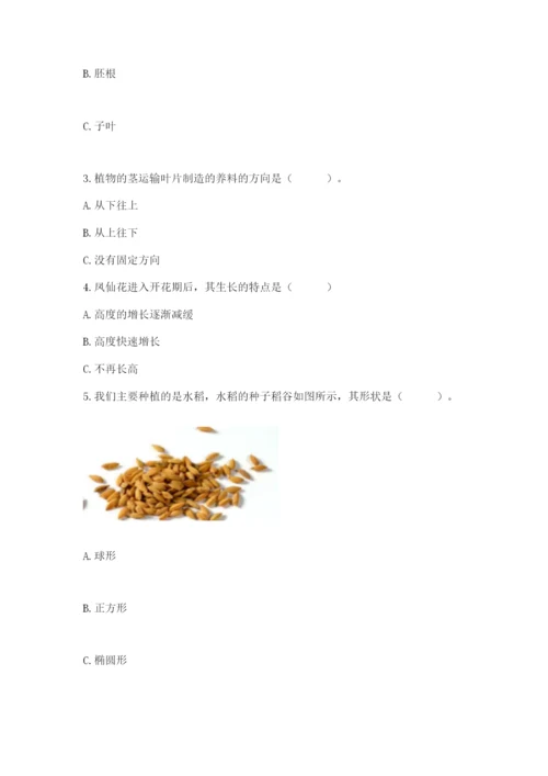 科学四年级下册第一单元《植物的生长变化》测试卷精品（有一套）.docx