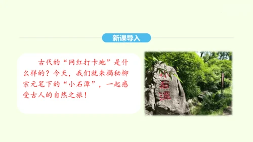 第10课 小石潭记 统编版语文八年级下册 同步精品课件