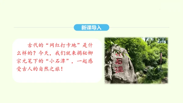 第10课 小石潭记 统编版语文八年级下册 同步精品课件