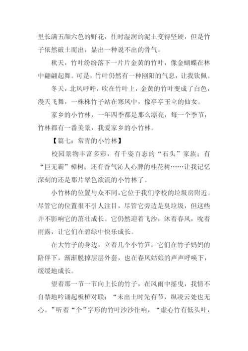 小竹林作文0.docx