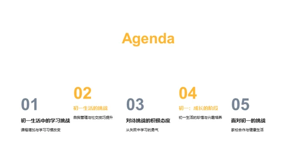 初一挑战与成长