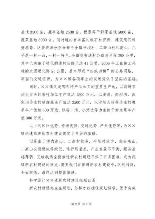 乡镇新农村建设调研报告.docx