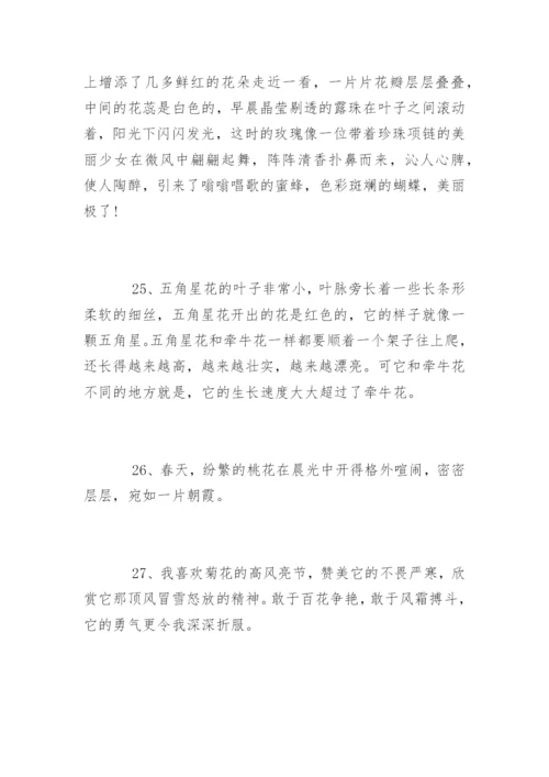描写鲜花优美的句子.docx