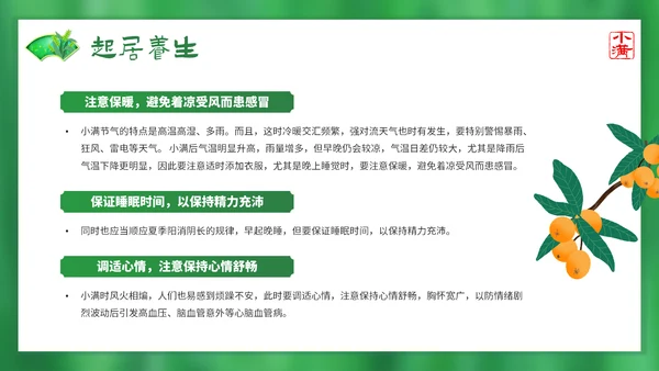 绿意春天小满时节二十四节气通用PPT模板