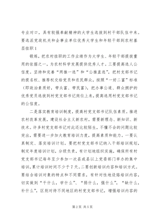 郑州XX县区关于进一步加强村党支部书记队伍建设的_1 (3).docx