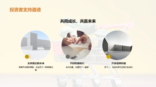 双十一：盛宴的策略与成果