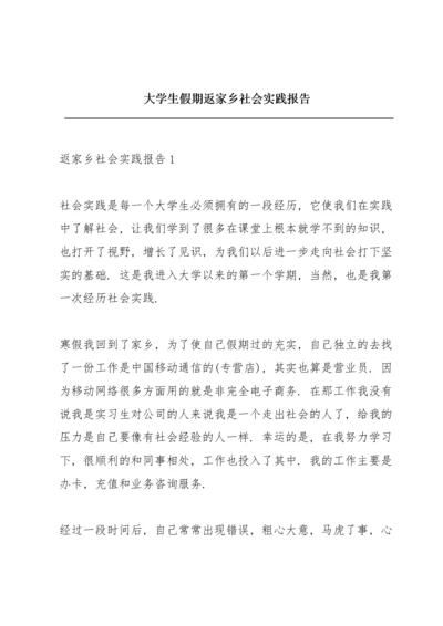 大学生假期返家乡社会实践报告.docx