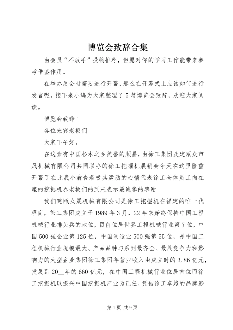 博览会致辞合集.docx