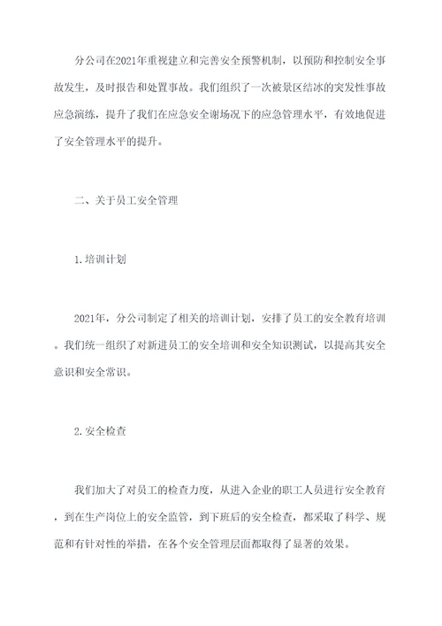 分公司年度安全工作报告