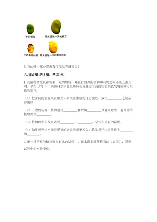 科学四年级下册第一单元《植物的生长变化》测试卷附答案【研优卷】.docx