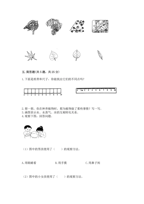 教科版一年级上册科学期末测试卷附参考答案（预热题）.docx