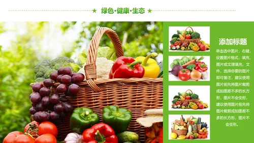 绿色有机生态农业招商农产品展示PPT模板