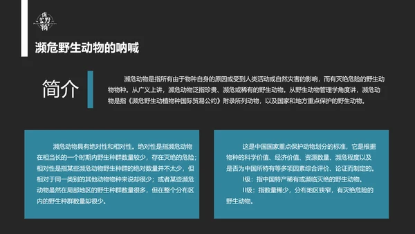 保护野生动物老虎PPT模板