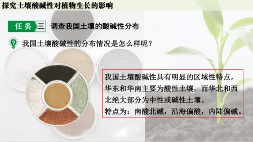 跨学科实践活动9  探究土壤酸碱性对植物生长的影响课件(共33张PPT)