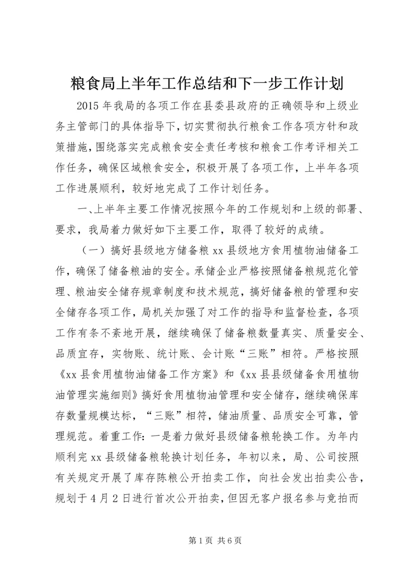 粮食局上半年工作总结和下一步工作计划.docx