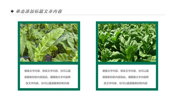 中国人寿保险公司年中工作总结工作计划PPT