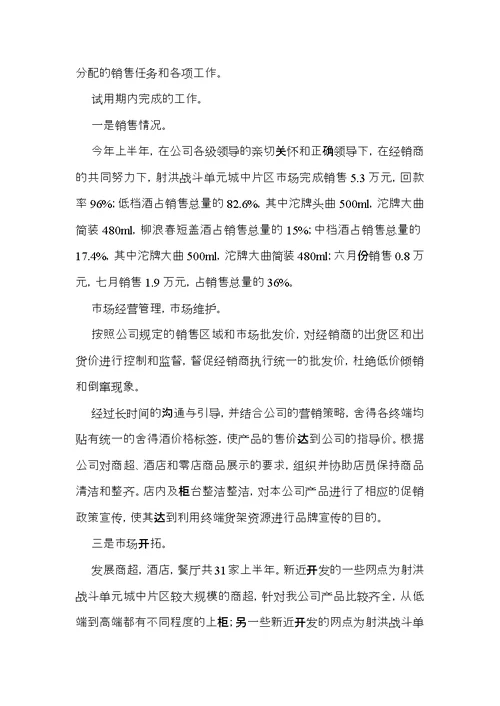 公司职员试用期工作总结 (2)