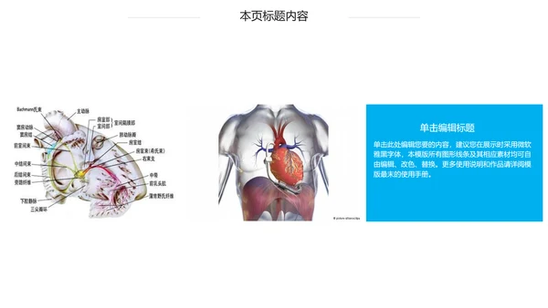 蓝色心脏医疗医学解剖研究ppt动态模板