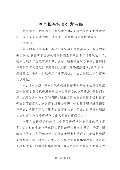 副县长在核查会发言稿.docx