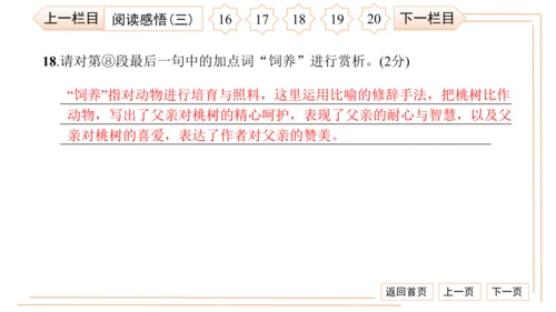 统编版八上语文第二次月考综合检测卷 习题课件（41张PPT）