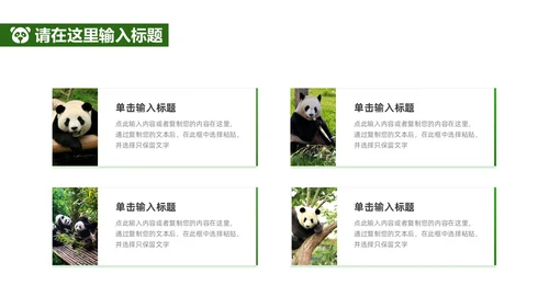 绿色实拍风保护大熊猫科普主题PPT模板