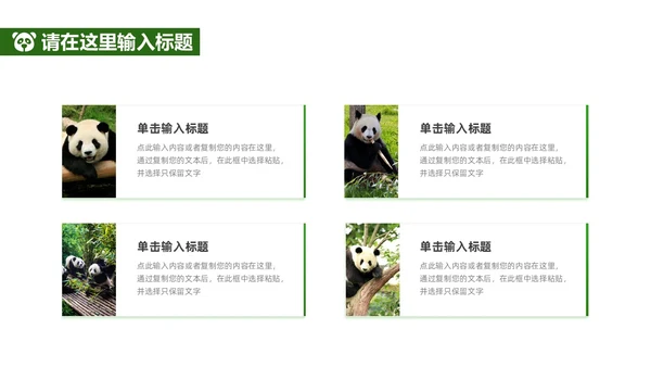 绿色实拍风保护大熊猫科普主题PPT模板