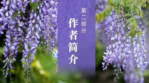 实拍风紫藤萝瀑布七年级语文课件PPT模板