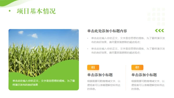 全面推进乡村振兴，田间经济通用PPT模板
