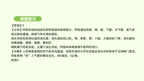 第四单元-第三章-第一节-呼吸道对空气的处理课件-2024-2025学年七年级生物下学期人教版(20