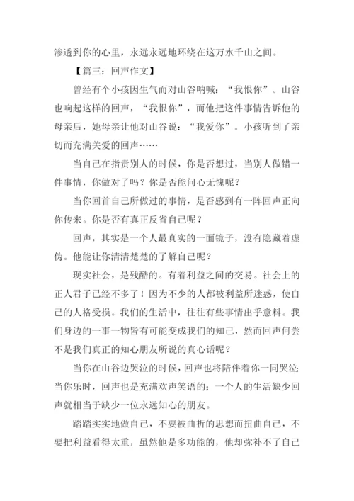 回声作文00.docx