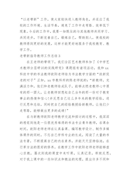 老带新指导教师工作总结.docx