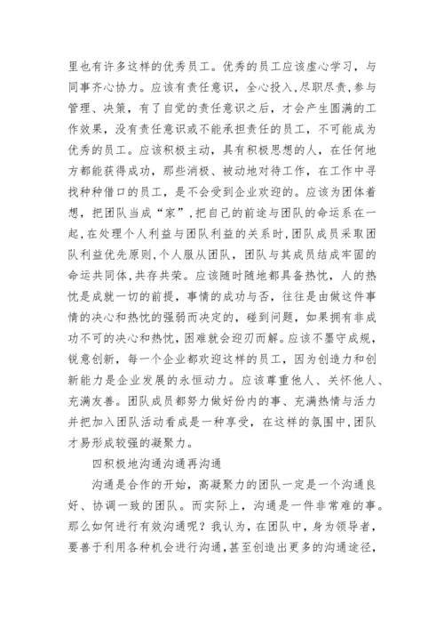 提升团队凝聚力活动方案(六篇).docx