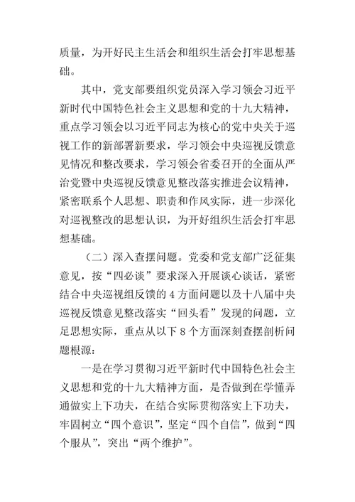 学院委员会巡视整改专题民主生活会、组织生活会工作方案