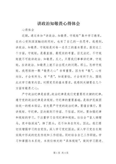 讲政治知敬畏心得体会.docx