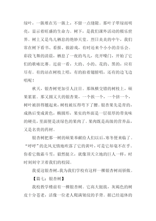 关于写银杏树的作文.docx