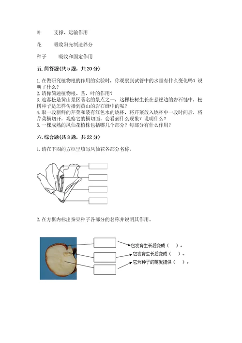 教科版四年级下册科学第一单元《植物的生长变化》测试卷含答案（a卷）