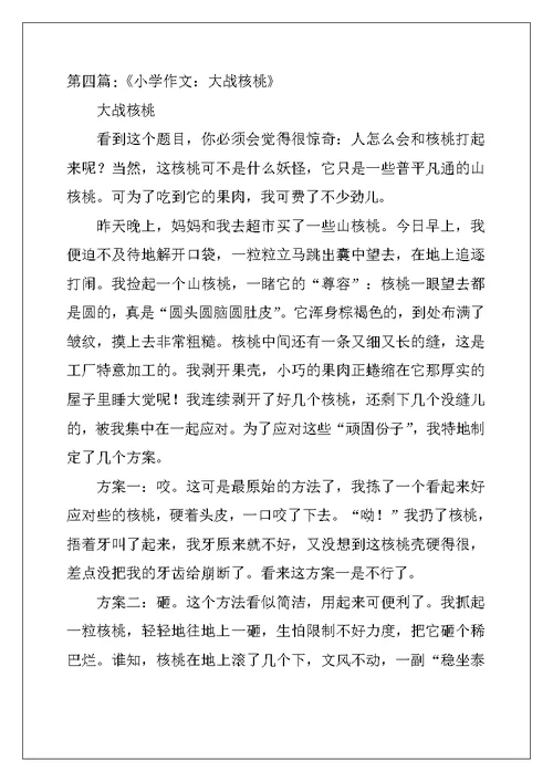 关于核桃的作文（5篇）