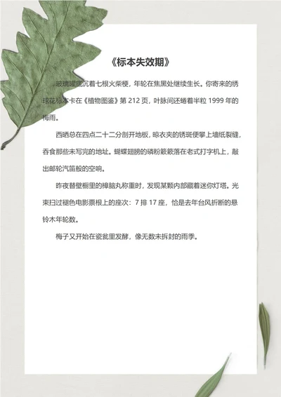 绿色清新信纸