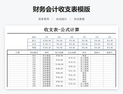 财务会计收支表模版