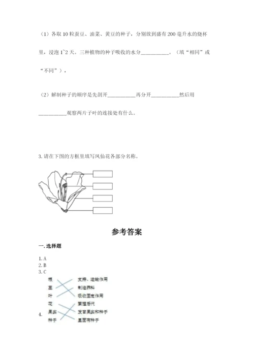 教科版四年级下册科学第一单元《植物的生长变化》测试卷附答案【巩固】.docx