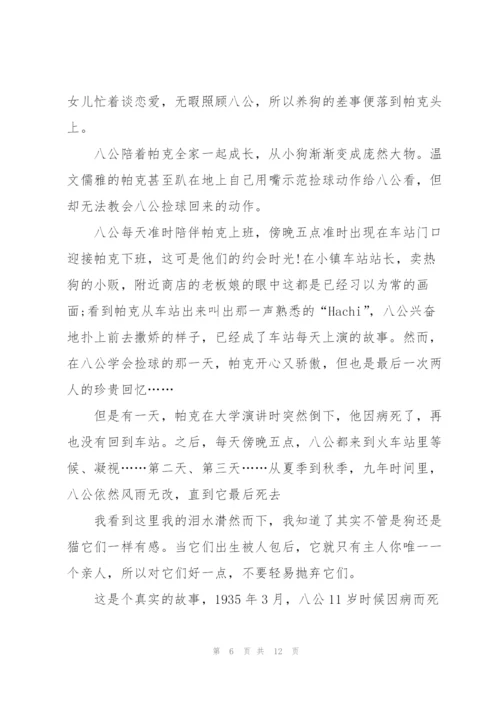 观忠犬八公优秀心得10篇.docx