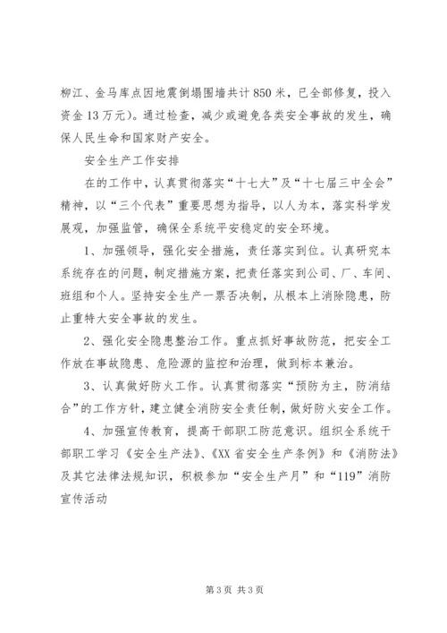 粮食局安全生产工作总结及工作计划精编.docx