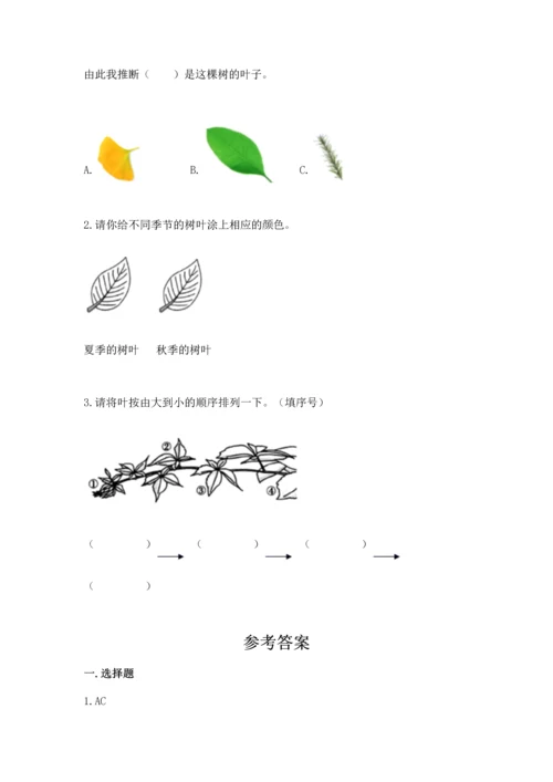 教科版科学一年级上册第一单元《植物》测试卷【名校卷】.docx