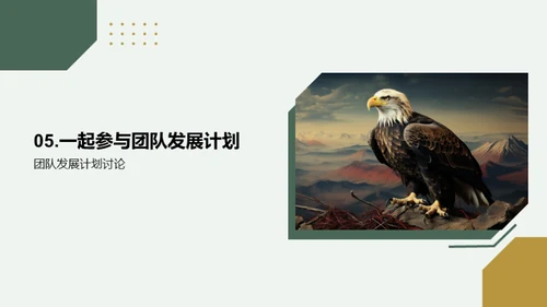 振翅飞翔：金融团队全览