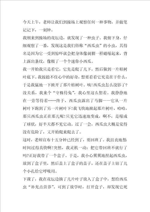 动物观察日记600字作文5篇