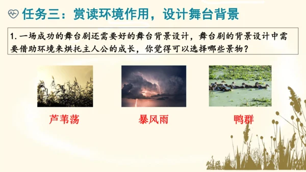 17《孤独之旅》课件(共15张PPT)