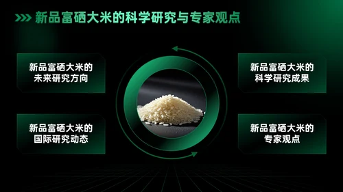 绿色科技风科技富硒大米新品发布会